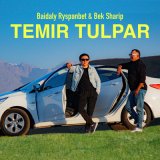 Скачать песню Baidaly & BekSharip - Temir tulpar