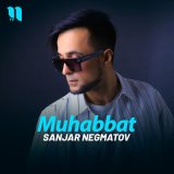 Скачать песню Sanjar Negmatov - Muhabbat