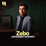 Скачать песню Жавохирбек Шокиров - Zebo