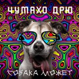 Скачать песню Чумахо Дрю - Собака Барабака