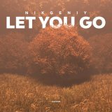 Скачать песню Nikgeniy - Let You Go