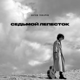 Скачать песню Антон Токарев - Седьмой лепесток (Tarabrin & Sergeev Remix)