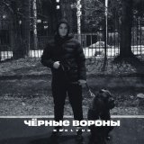 Скачать песню NEKLYUD - Чёрные вороны