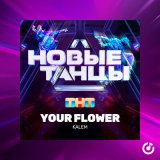 Скачать песню Kalem - Your Flower