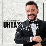 Скачать песню Oktay Gürtürk - Analar Neler Doğurmuş