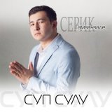 Скачать песню Серик Гамза-заде - Времени река