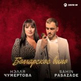 Скачать песню Sahin Pasazade, Нэлля Чумертова - Болгарское вино