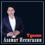 Скачать песню Азамат Исенгазин - Туман