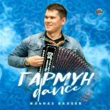 Скачать песню Ильназ Валеев - Гармун Dance