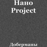 Скачать песню Нано Project - Доберманы (CJ Sasch ed Remix)