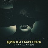 Скачать песню Умар Аллазов - Дикая пантера