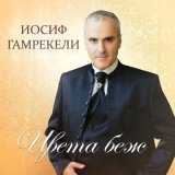 Скачать песню Иосиф Гамрекели - Мой океан