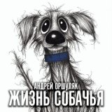 Скачать песню Андрей Оршуляк - Мозг-сканер