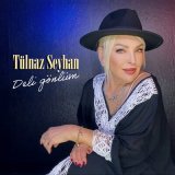 Скачать песню Tülnaz Seyhan - Aptalsın