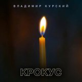 Скачать песню Владимир Курский - Крокус