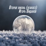 Скачать песню Игорь Виданов - Вторая жизнь (Remixes)