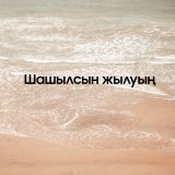 Скачать песню Сабыржан Адиұлы - Шашылсын жылуың