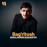 Скачать песню Shohjahon Sharopov - Bag'ritosh