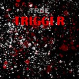 Скачать песню True - Trigger