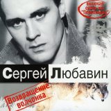 Скачать песню Сергей Любавин - Волчонок