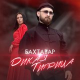 Скачать песню Бахтавар - Дикая тигрица (KalashnikoFF Mix)