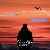 Скачать песню Tamuki - Goodbye