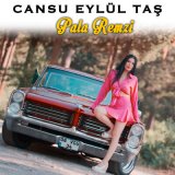 Скачать песню Cansu Eylül Taş - Pala Remzi