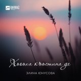 Скачать песню Элина Юнусова - Хьоьха къьстина де