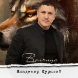 Скачать песню Владимир Курский - Чёрный ворон - белая голубка