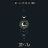 Скачать песню Гриша Ванюшкин - Луна