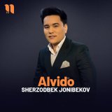 Скачать песню Sherzodbek Jonibekov - Alvido