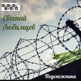 Скачать песню Евгений Любимцев - Истосковалася, да вся соскучилась