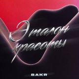 Скачать песню Bakr - Эталон красоты