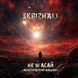 Скачать песню Skrizhali - Дзяучына