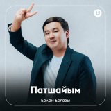 Скачать песню Ерлан Ерғазы - Патшайым