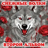 Скачать песню Снежные волки - Суперклей