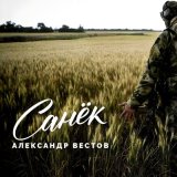 Скачать песню Александр Вестов - Санек