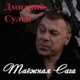 Скачать песню Дмитрий Сулей - Новый срок