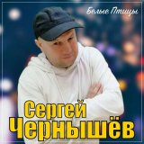 Скачать песню Сергей Чернышев - Белые птицы