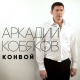 Скачать песню Аркадий Кобяков - Унесите меня, журавли