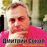 Скачать песню Дмитрий Сокол - Хрустальная слеза