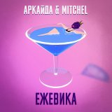 Скачать песню Mitchel - Ежевика