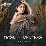 Скачать песню Амина Даова - Псэм и лъагъуэ