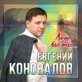 Скачать песню Евгений Коновалов - Лишь бы ты…