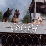 Скачать песню Андрей Оршуляк - Свора