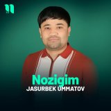 Скачать песню Jasurbek Ummatov - Nozigim