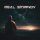 Real Smirnov - Тысяча комет